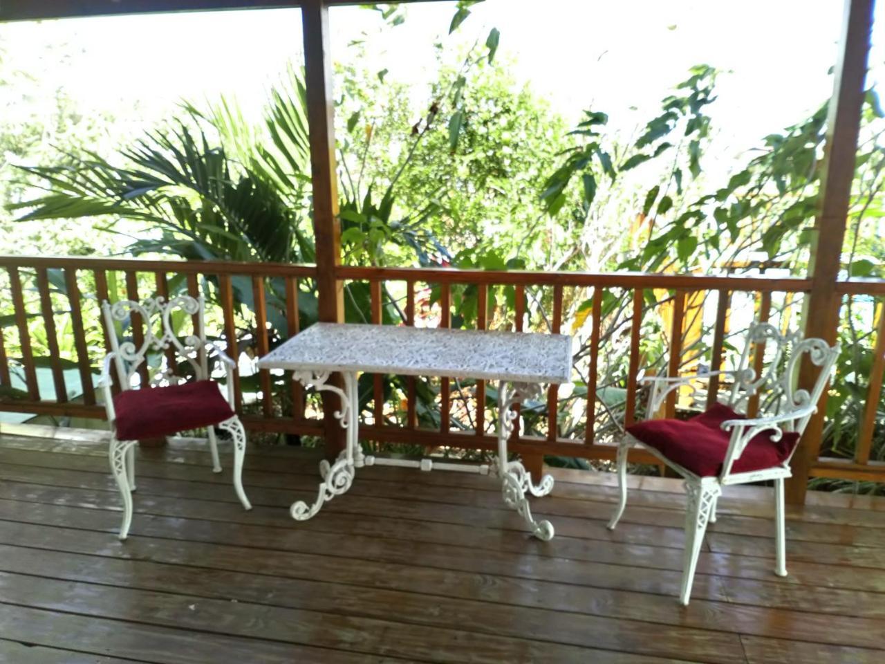 فيلا The Pool House سانت فيليب المظهر الخارجي الصورة