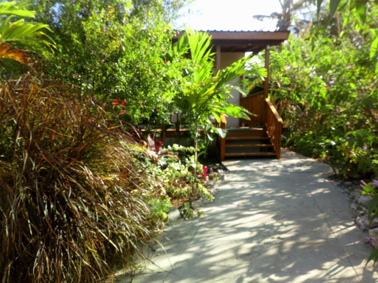 فيلا The Pool House سانت فيليب المظهر الخارجي الصورة