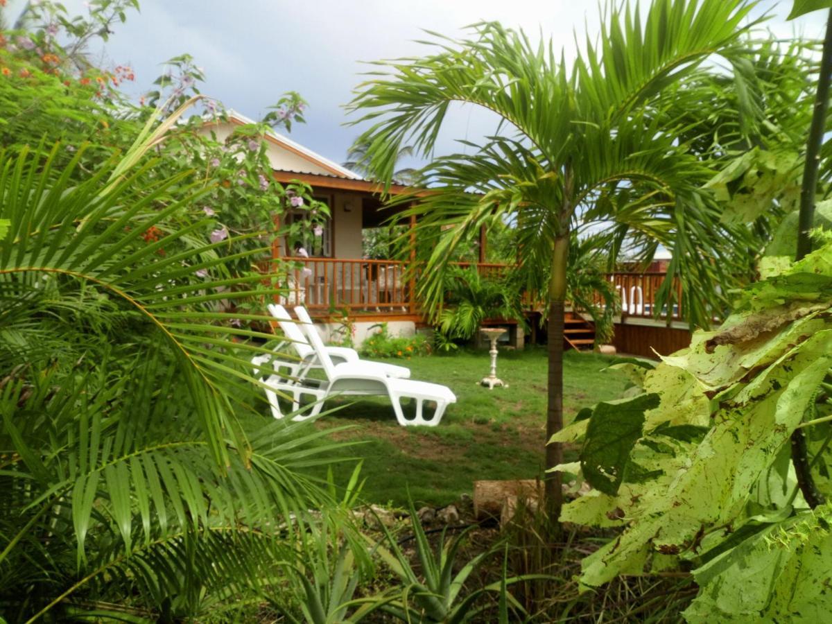 فيلا The Pool House سانت فيليب المظهر الخارجي الصورة